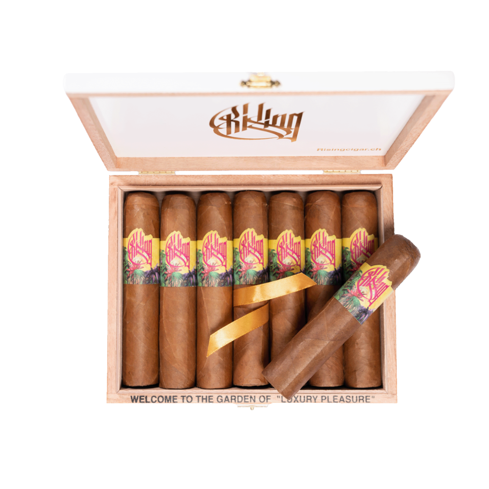 RISING PRESIDENTE BOX