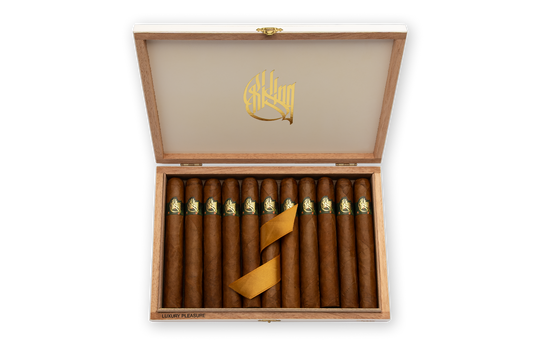 RISING TORO 11er BOX